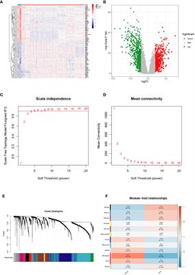 A new 4-gene-based prognostic model accurately predicts breast cancer prognosis and immunotherapy response by integrating WGCNA and bioinformatics analysis